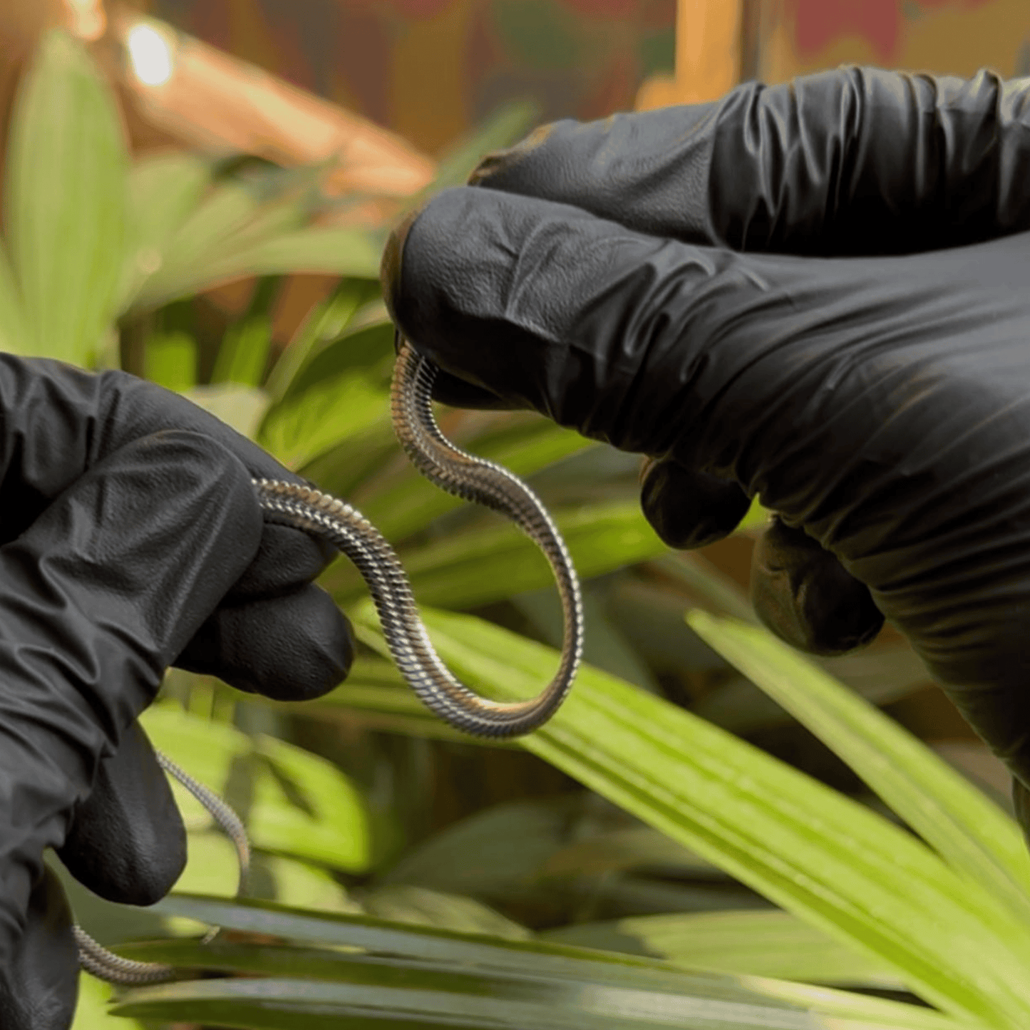 Premium Bold Sleek Stainless Steel Chains For Men/Women